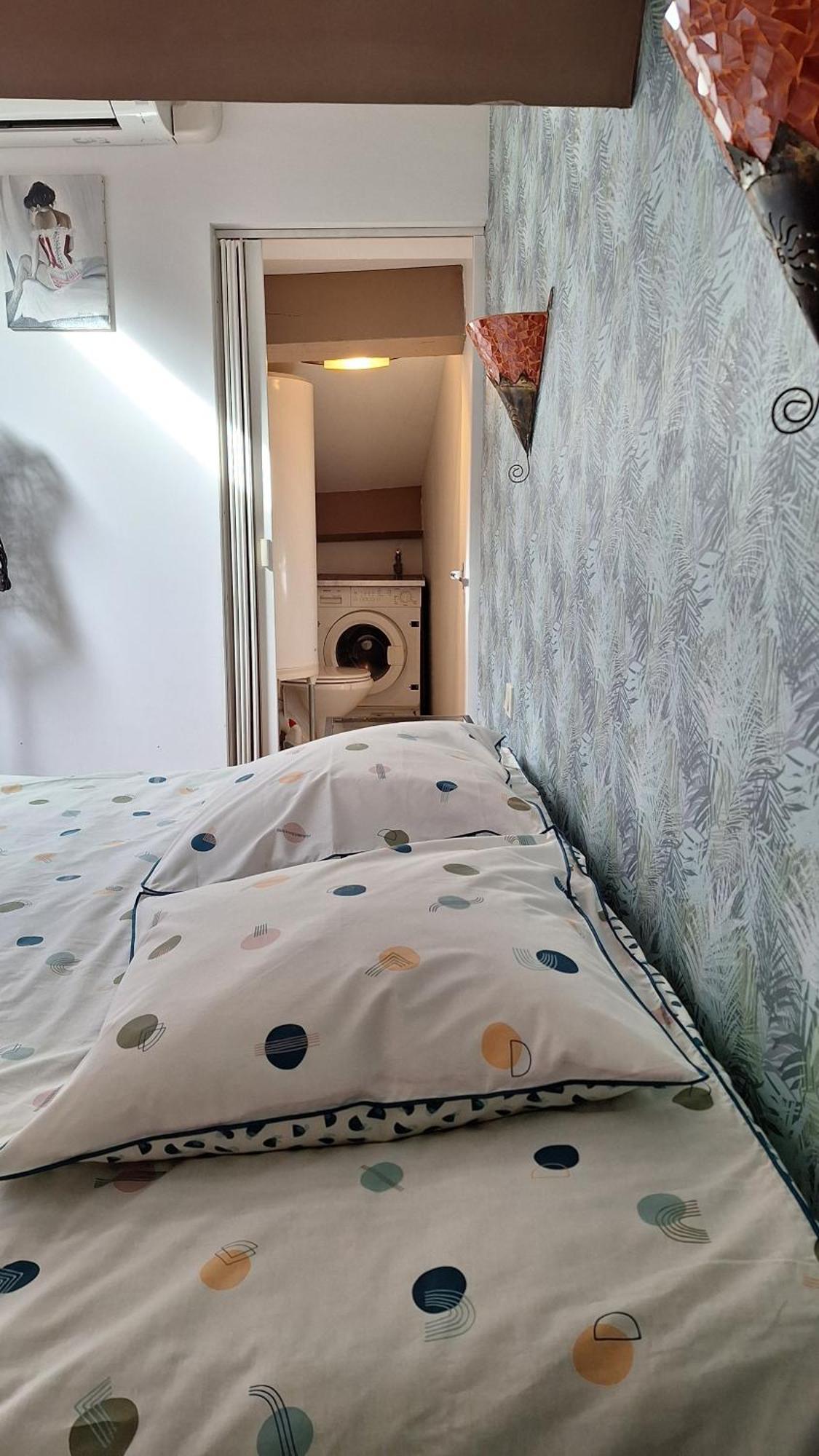 Vacance Et Cure Dans Duplex 80 M2 A Ceret 66400 エクステリア 写真